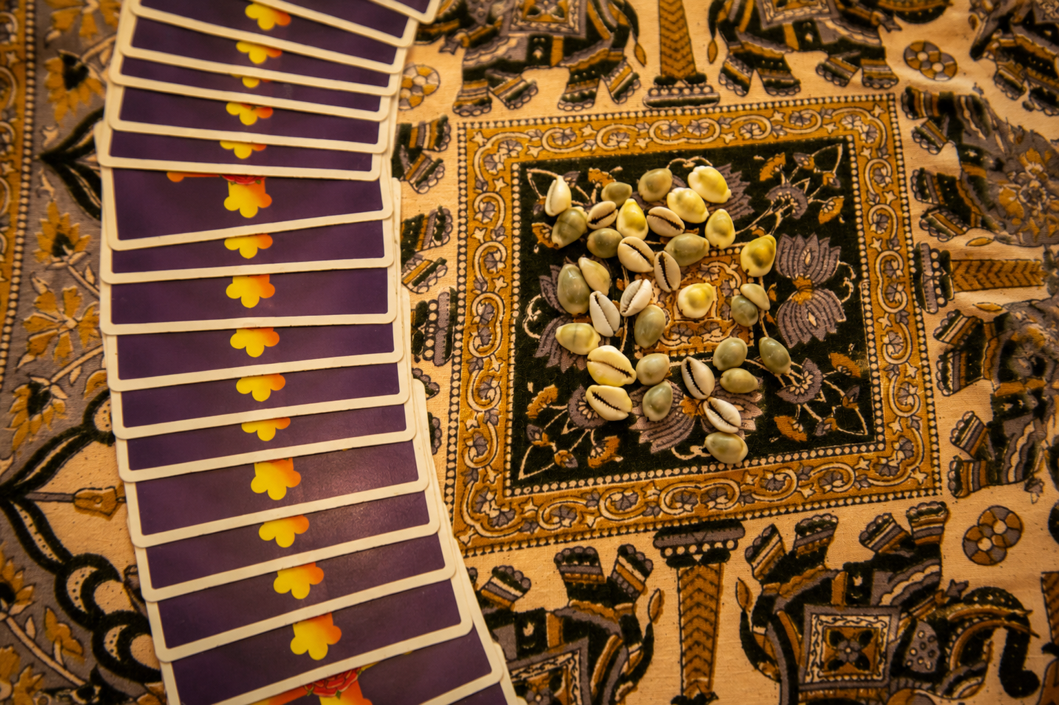 Cartas de tarot e búzios em mesa de consulta